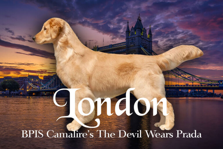 Riot’s Little Girl